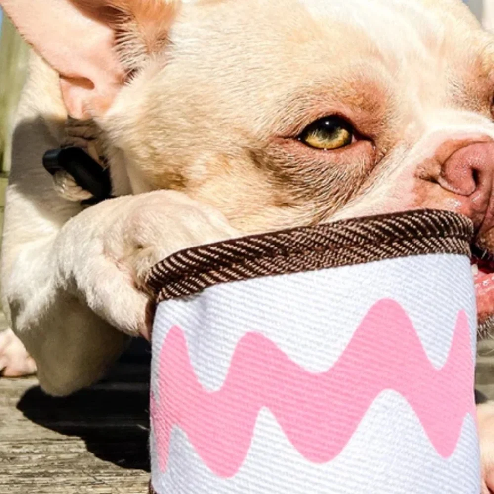 BarkBox SuperChew Ice cream Sandwich